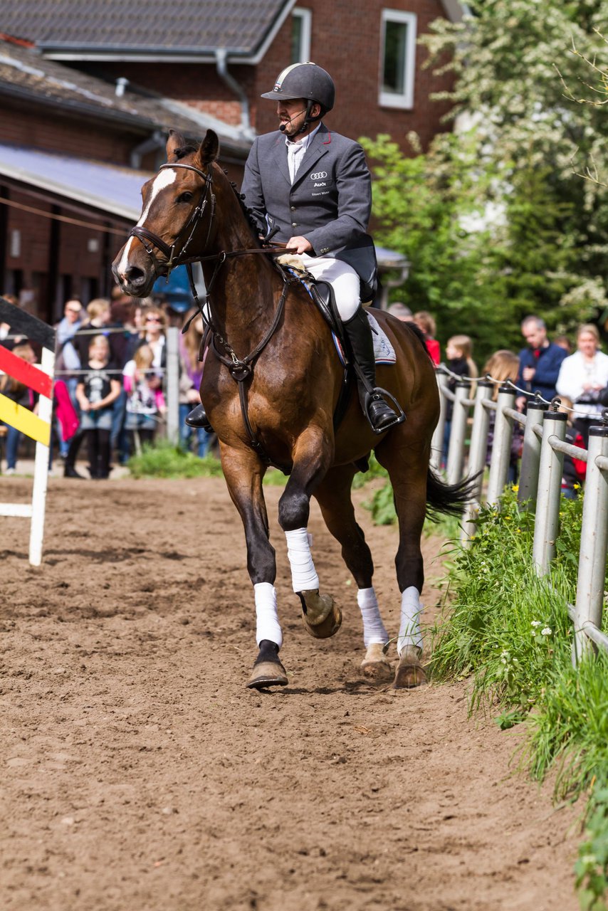 Bild 188 - Reitschule Janen Jubilum